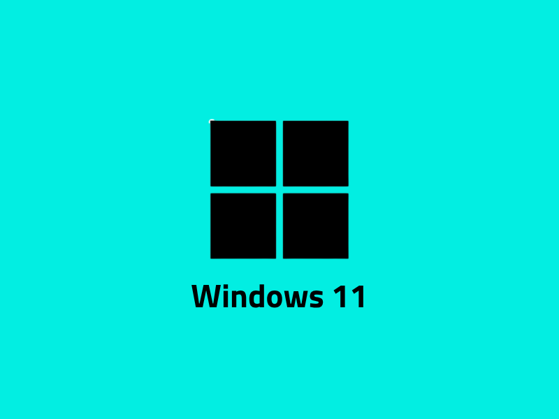 Windows 11 - License Key - Software Subscription | PaperGamer